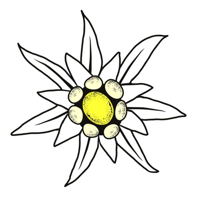 640x640 Sticker Edelweiss X Mm For Sale Online Ebay