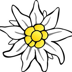 240x240 Edelweiss Brooklyn