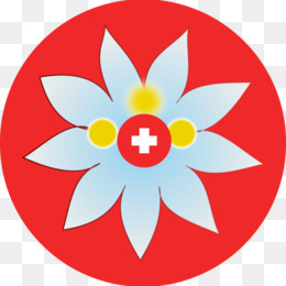 260x260 Edelweiss Png