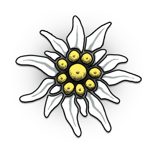 Edelweiss Flower Drawing | Free download on ClipArtMag