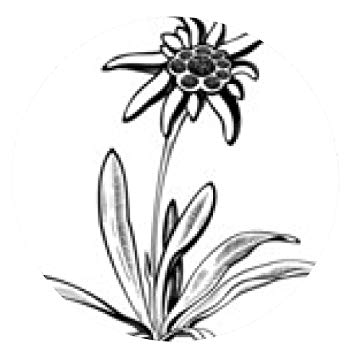 355x355 Edelweiss Flower With Leaves Vector Tattoo Electronics