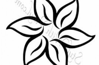 343x228 Hawaiian Flowers Drawings