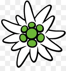 260x280 Photography Drawing Flower Poetry Author