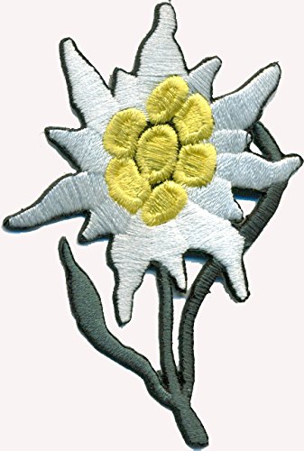 337x500 edelweiss flower alpine troops mountain guide hiking sports iron