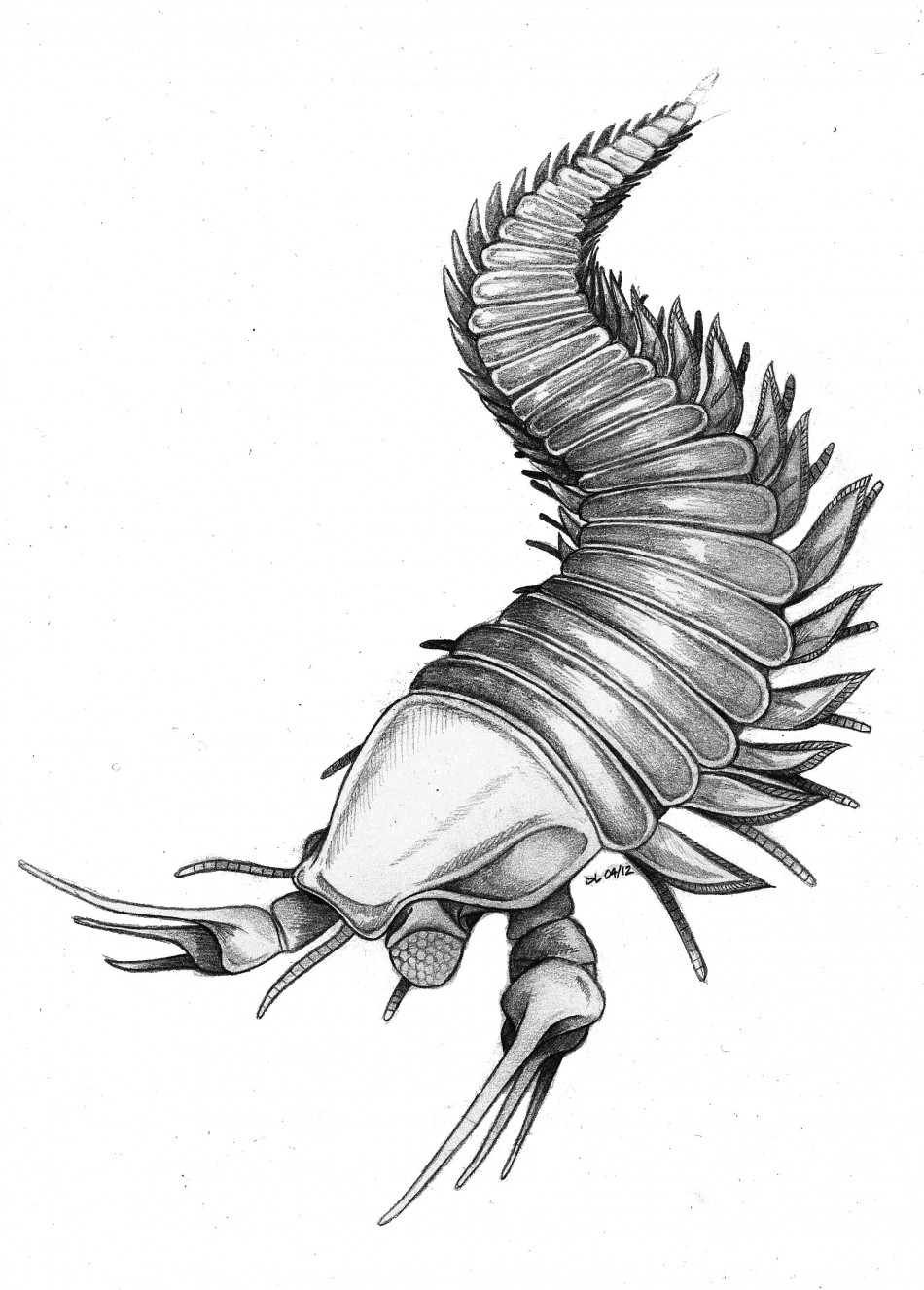 950x1326 edward scissorhands fossil honours johnny depp