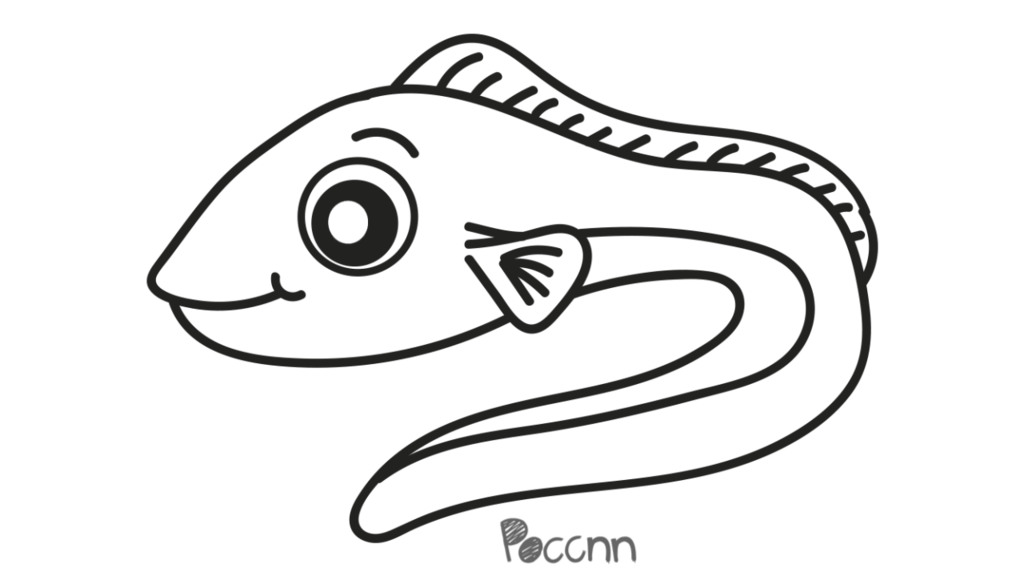 Eel Drawing | Free download on ClipArtMag