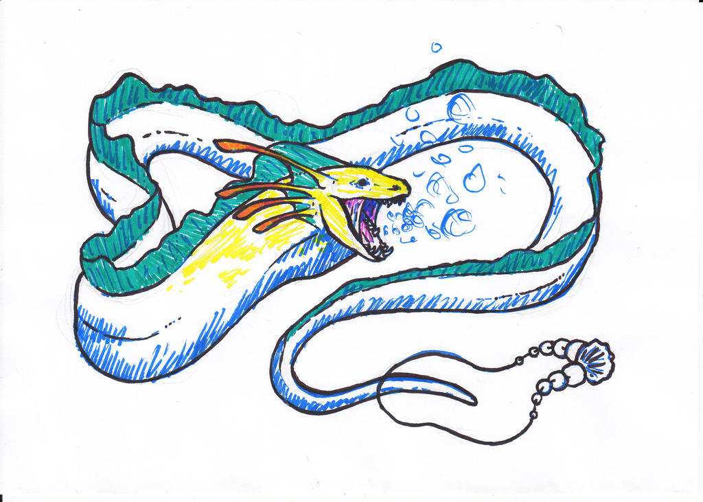 1024x731 Eel Drawing