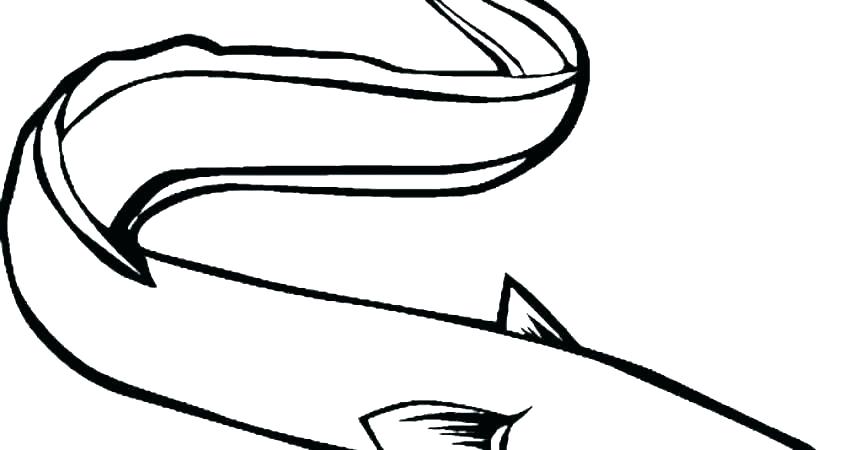 860x450 Eel Coloring