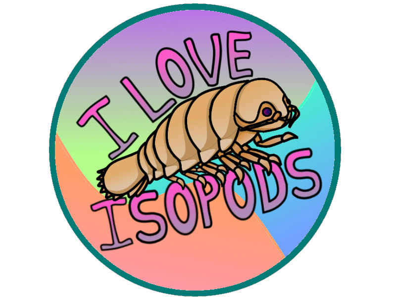 800x600 draw whatever you want but poorly and without much effort