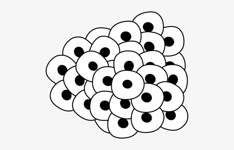 820x525 Egg Clipart Line Drawing