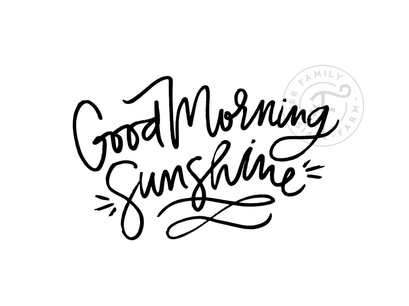 800x600 fischer family farm