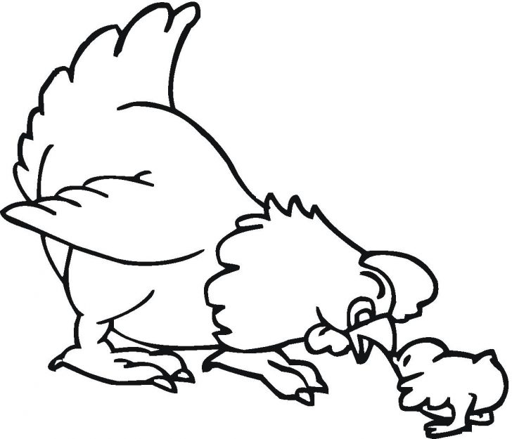 728x625 Baby Chick Hatching Drawing In Egg Black And White Easy Cartoon
