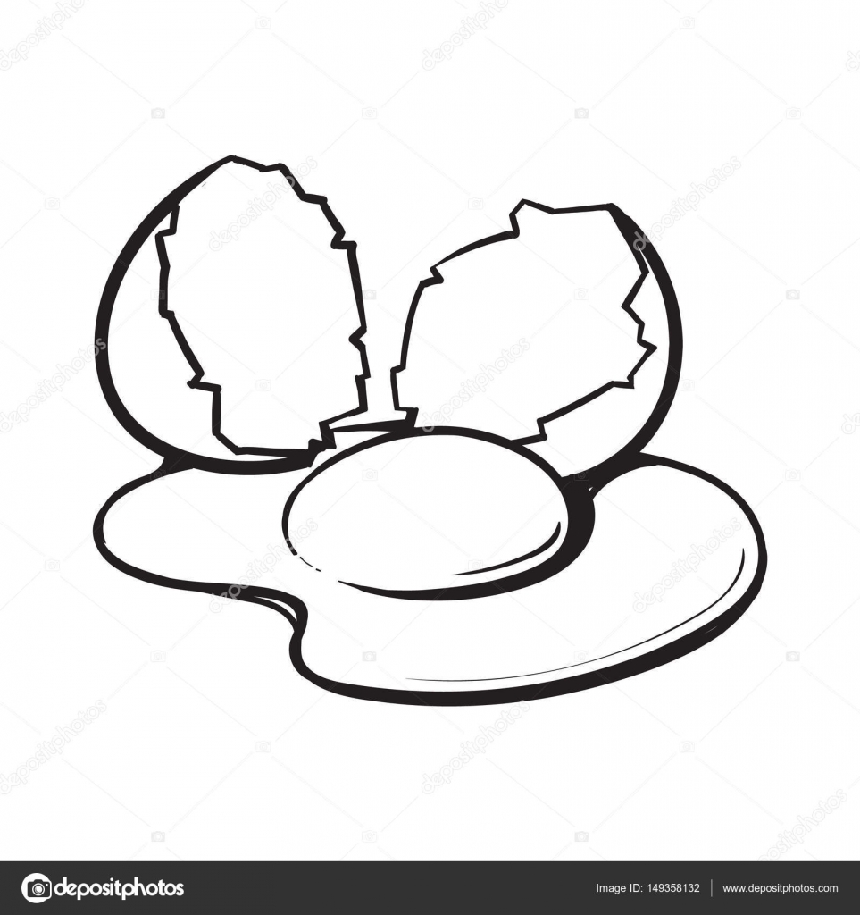 Egg Line Drawing