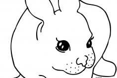 236x157 Baby Chick Hatching Drawing Outline In Egg Cartoon Line Black