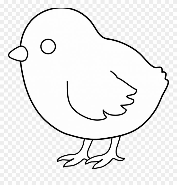 728x761 Baby Chick In Egg Drawing Cool Of Hatching Iydunetwork