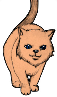 200x339 Drawing Cats Step