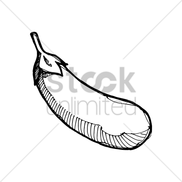 600x600 Eggplant Vector Image