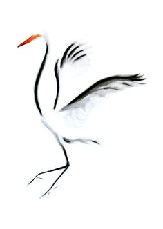 Egret Drawing