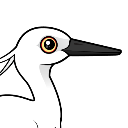 440x440 cute little egret