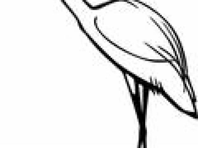 640x480 free egret clipart, download free clip art