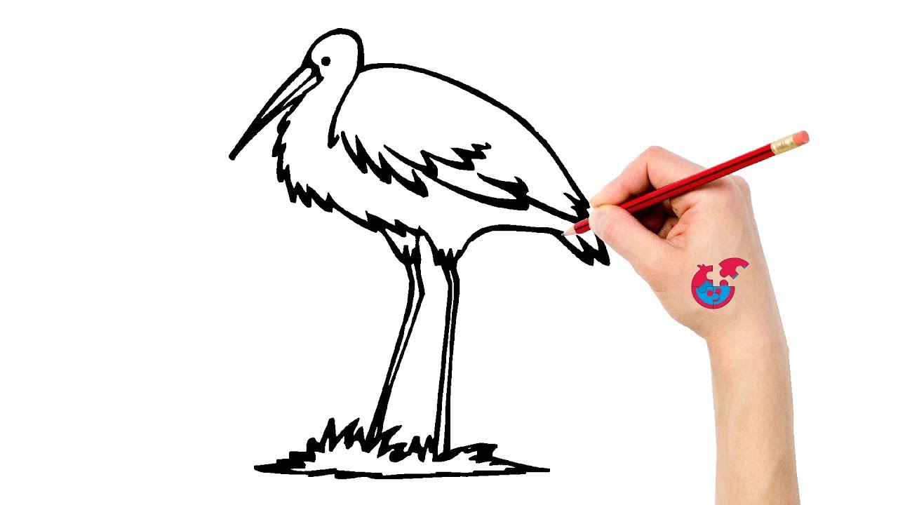 1280x720 how to draw animals egret