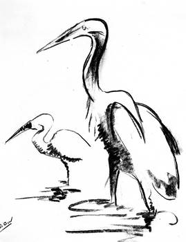 269x350 little egret pair