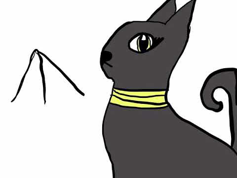 480x360 Drawing Egyptian Cat