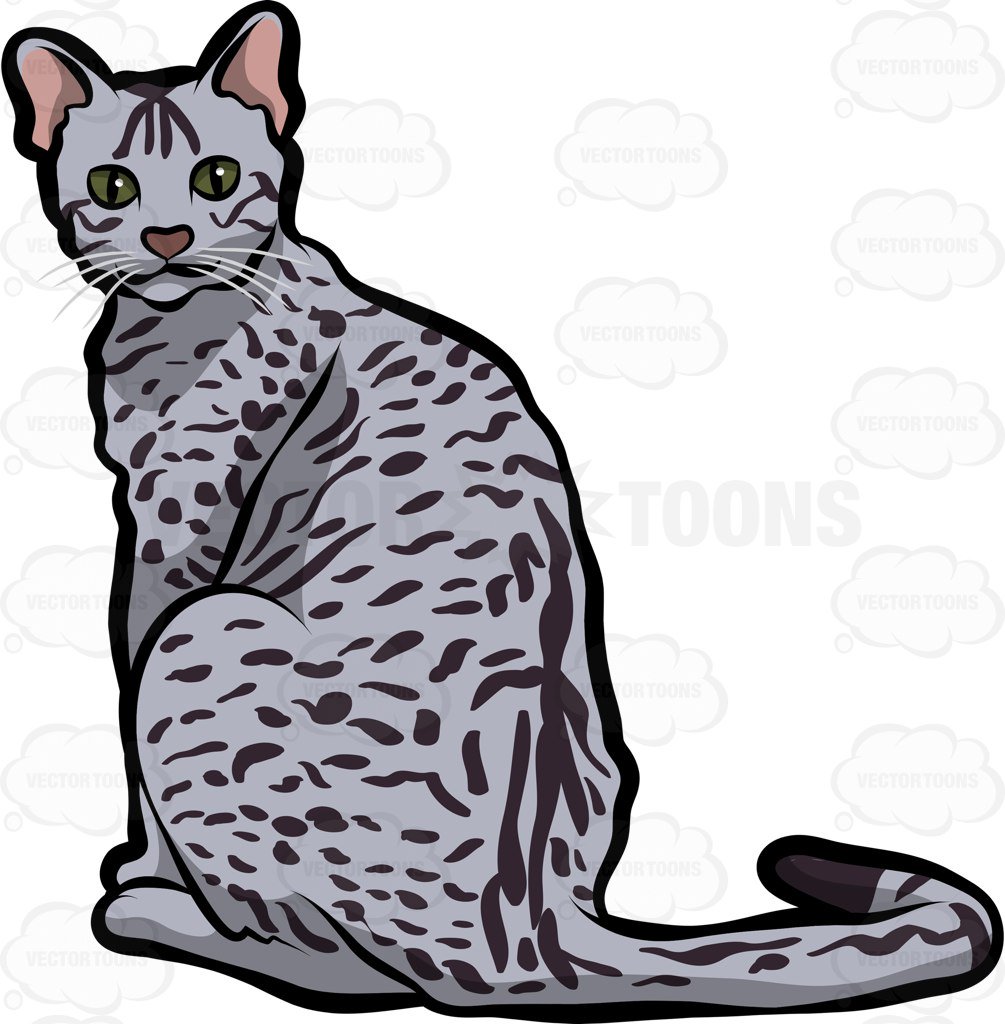 1005x1024 Egyptian Cat Clipart