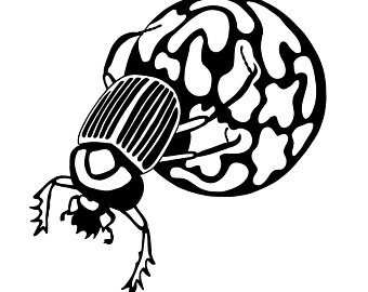 340x270 Dung Beetle Etsy