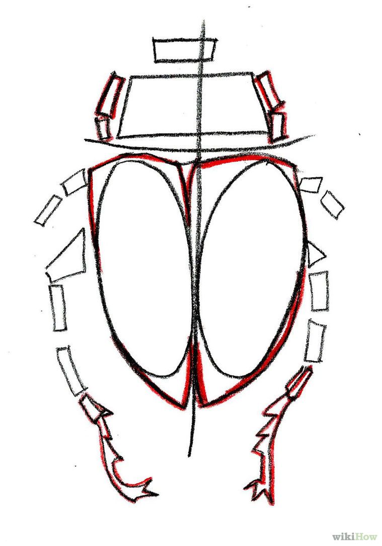 759x1084 draw a scarab beetle scarabs drawings, beetle drawing, art