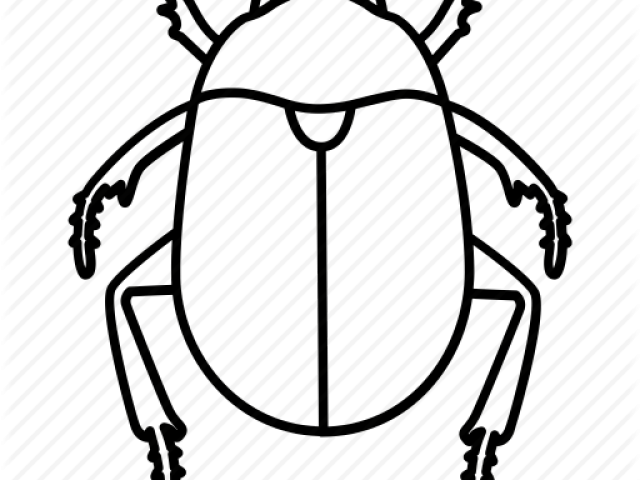 640x480 Free Beetle Clipart, Download Free Clip Art