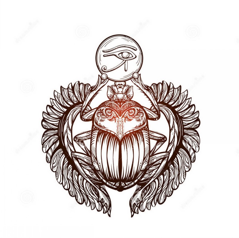 800x796 Shining Scarab Bug With Flexible Wings Keeping Egyptian Eye Symbol