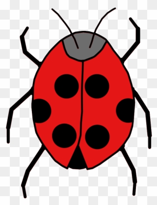 320x418 Beetle Clipart Insect Animal