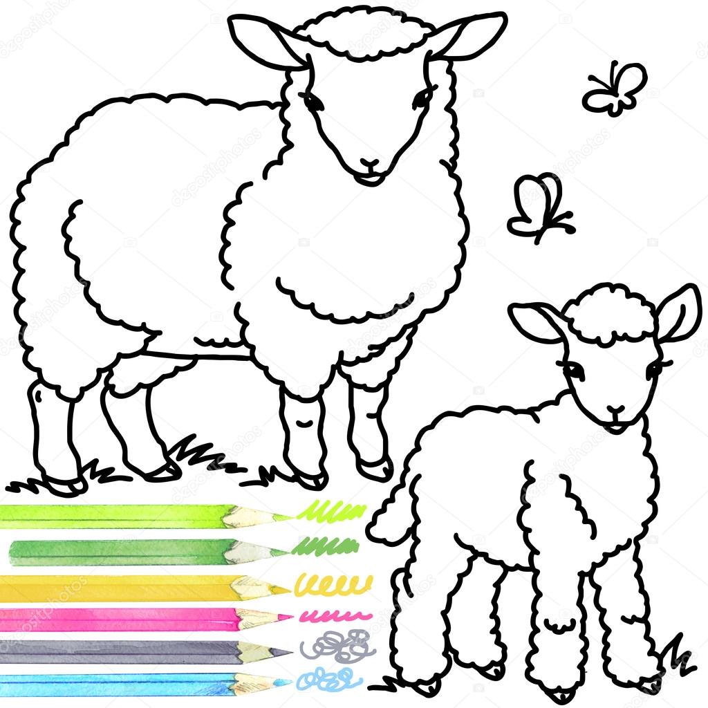 1024x1024 Huge Collection Of 'lamb Cartoon Drawing' Download More Than