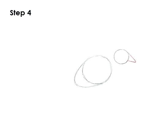 500x386 How To Draw A Easy Dove How To Draw Dove Easy Step