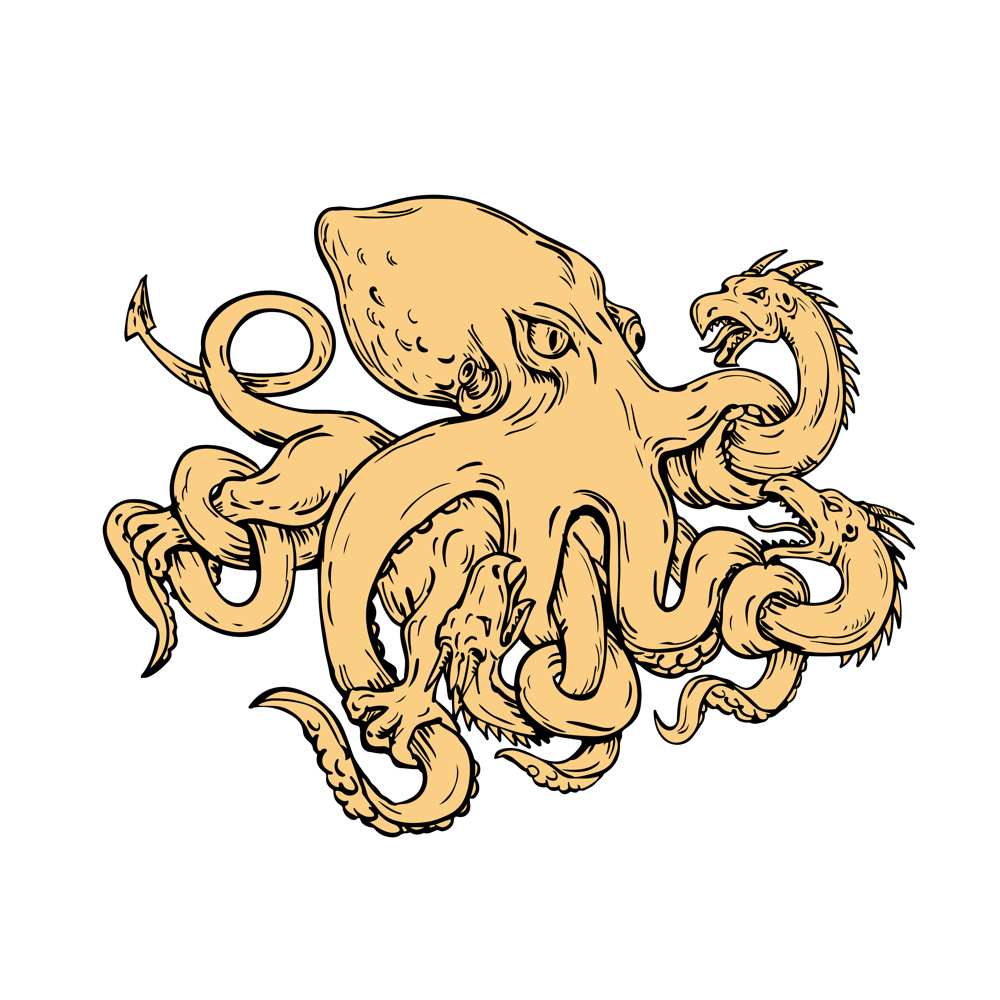 1000x1000 giant octopus fighting hydra drawing on behance