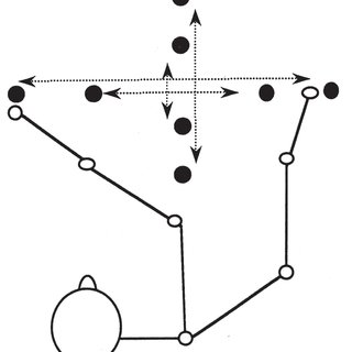 320x320 schematic drawing of the experimental task