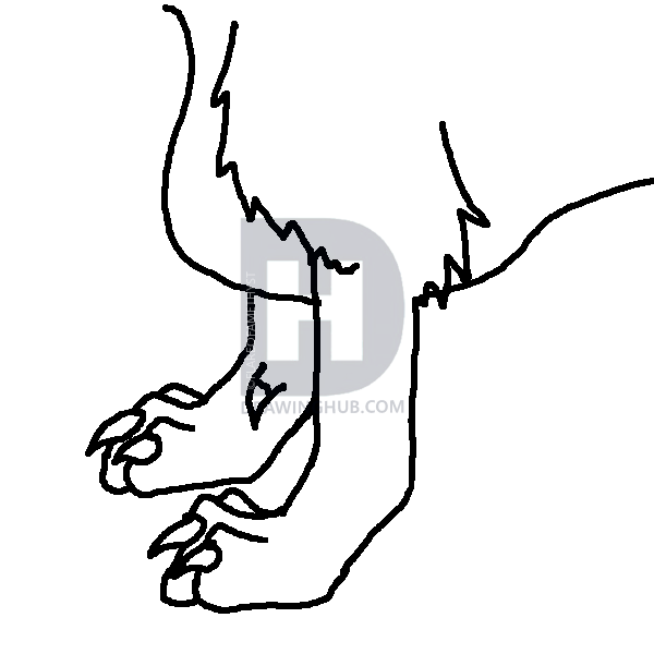 600x600 How To Draw Canine Front Paws, Step