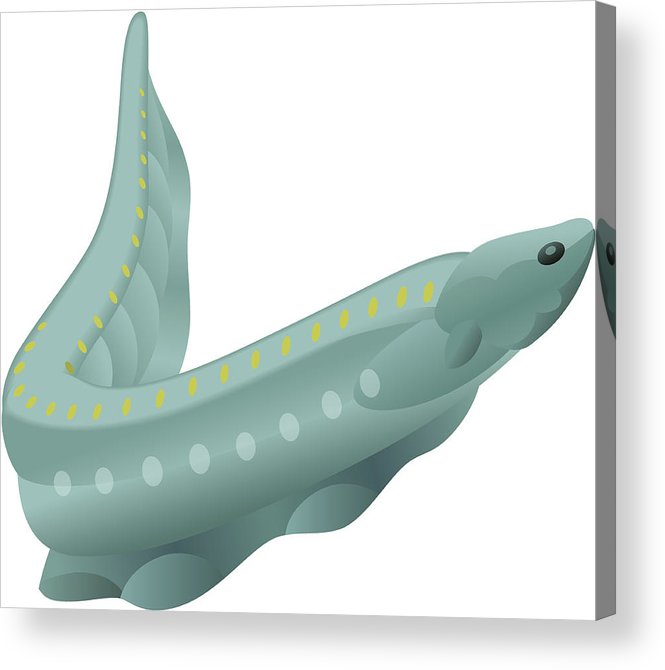 665x670 Electric Eel Acrylic Print
