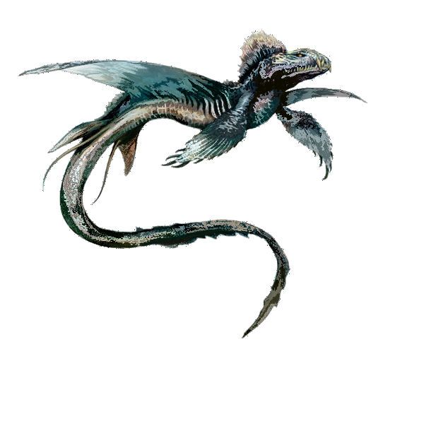 600x600 Electric Eel Adult Dragons Dragon, Visual Development