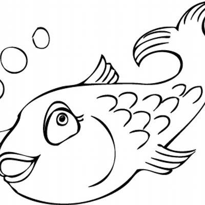 400x400 fish geek on twitter an adult electric eel can produce electric