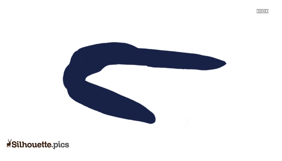 934x534 Image Electric Eel Silhouette Silhouette Pics