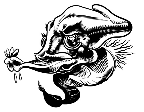 500x390 Stock Art Electric Eel Type