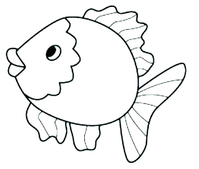 800x680 Eel Coloring Pages
