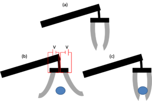 300x200 Electroactive Polymers