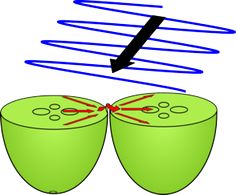 236x195 Best Teaching Physics