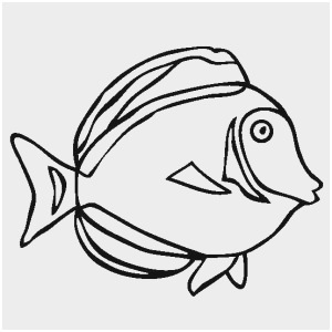300x300 Sea Animals Coloring Pages Elegant Easy Drawings For Kids To Do