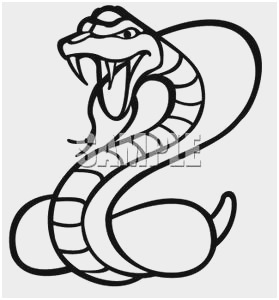 279x300 Snake Clipart Black And White Elegant Snake Head Fangs Drawings