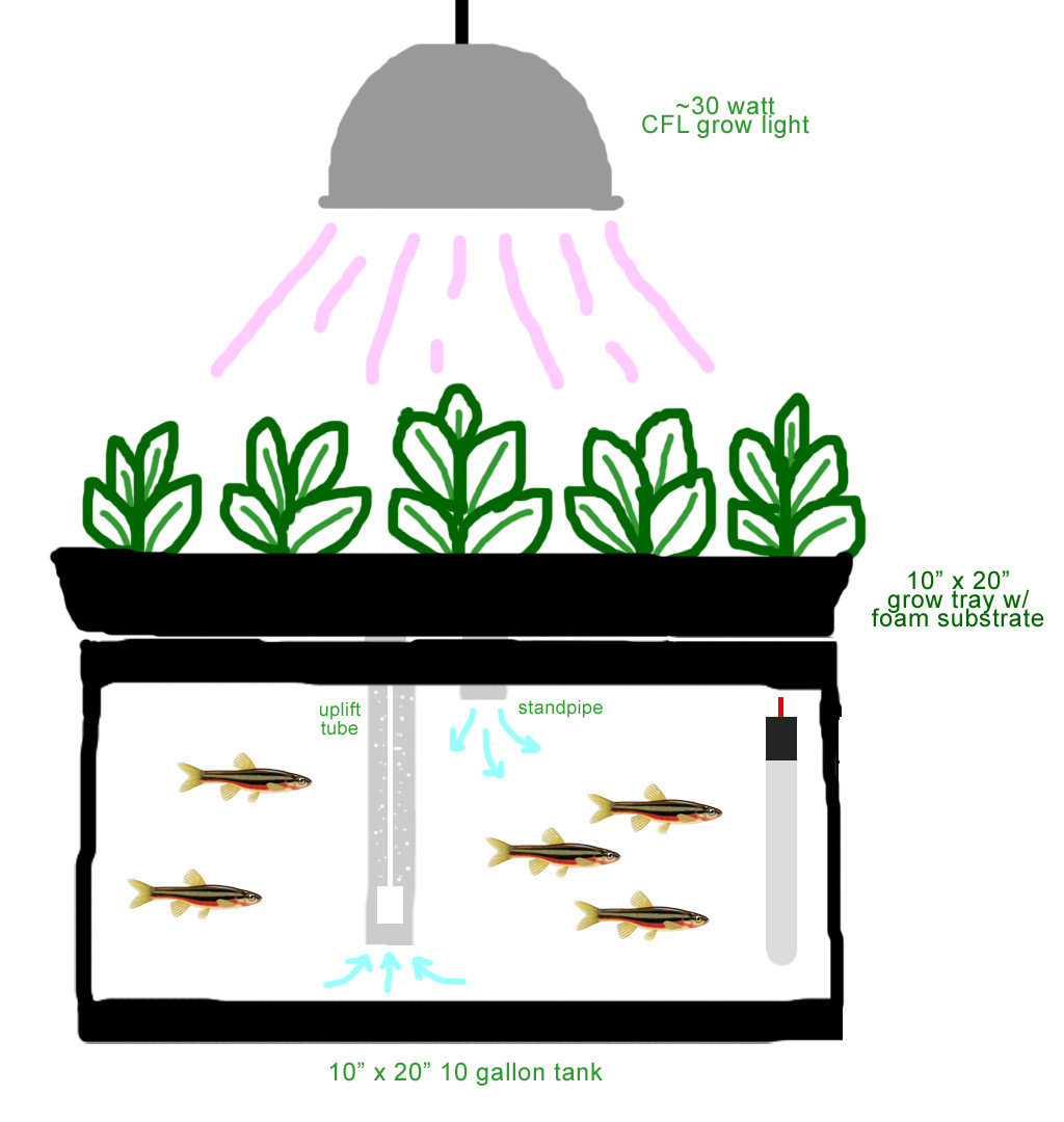1024x1080 Update Drawing Plan For Elementary School Micro Aquaponics