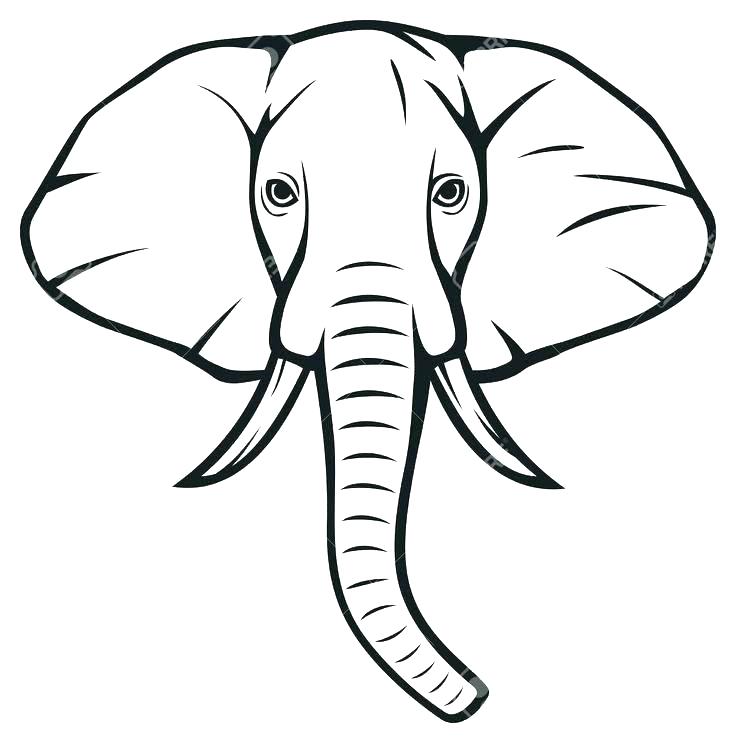 736x743 Elephant Drawing Outline Simple Template Baby Indian